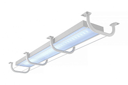 Светодиодные светильники для спортивных залов «Эколюмен NK-Sport»