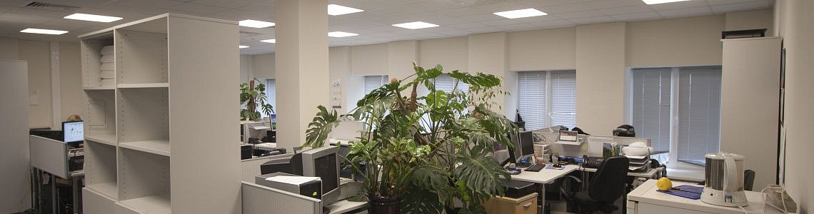 Преимущества светодиодного освещения перед другими лампами и светильниками.